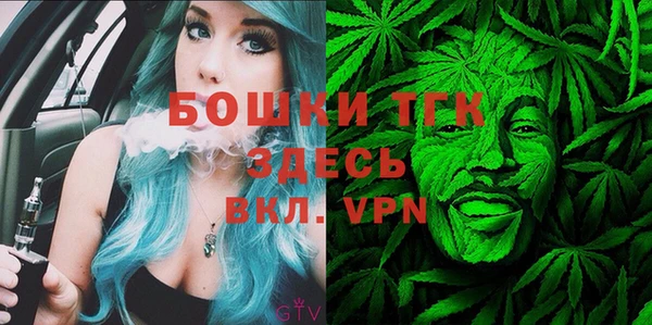 дживик Козловка