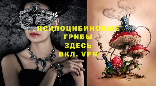 MDMA Premium VHQ Козельск