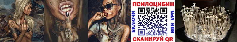 Псилоцибиновые грибы ЛСД  Купить где  Вихоревка 